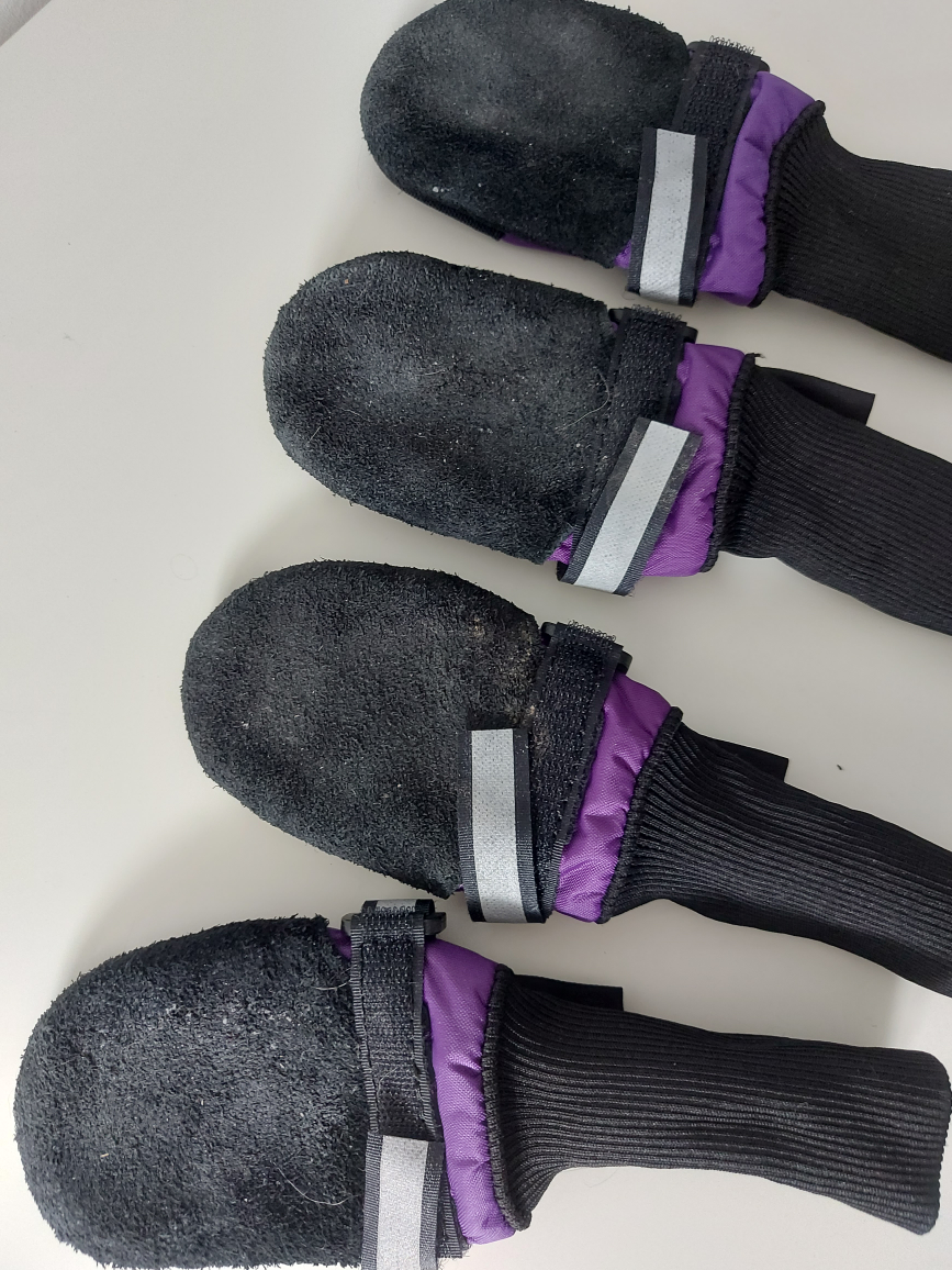 Muttlucks Dog Boots - Like NEW image indicator(4)