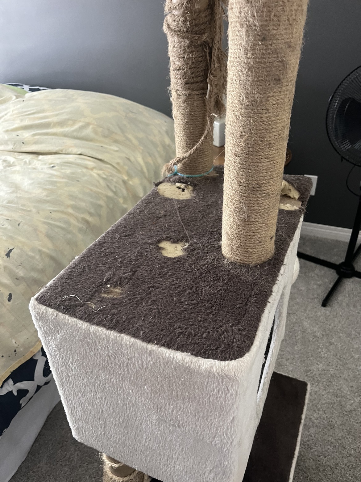 Free Cat Post needs tlc - photo 2