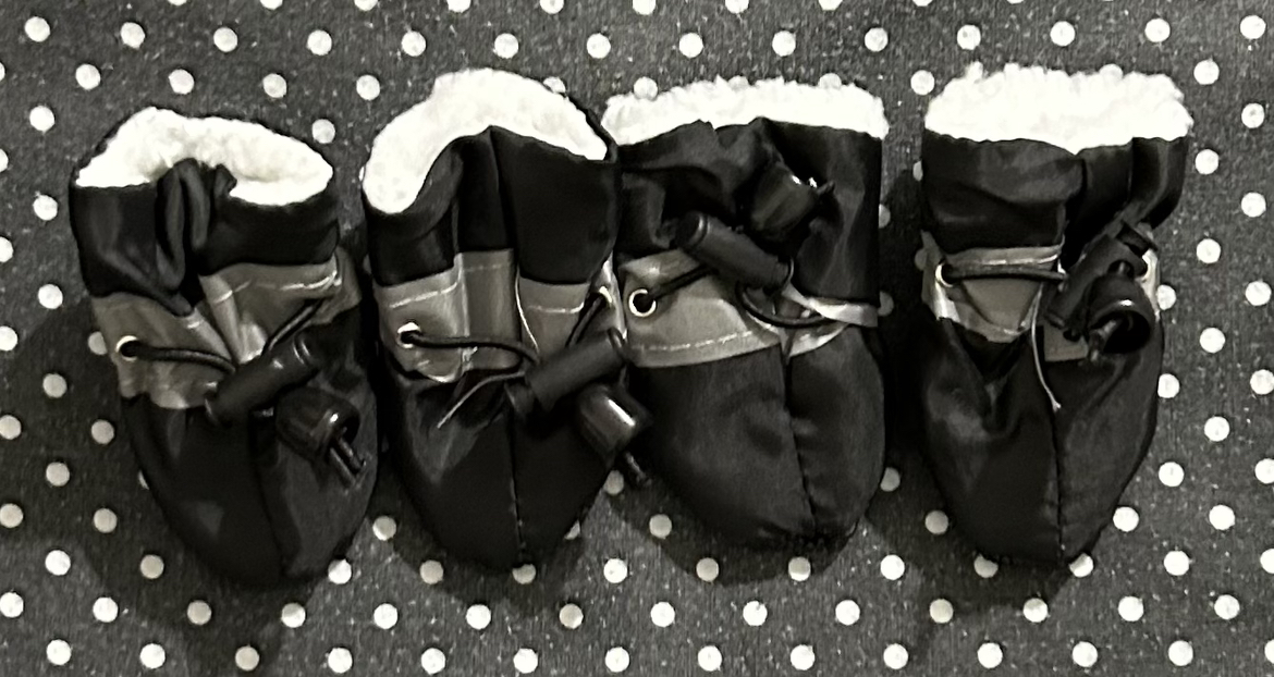 New shoes for small dog image indicator(5)