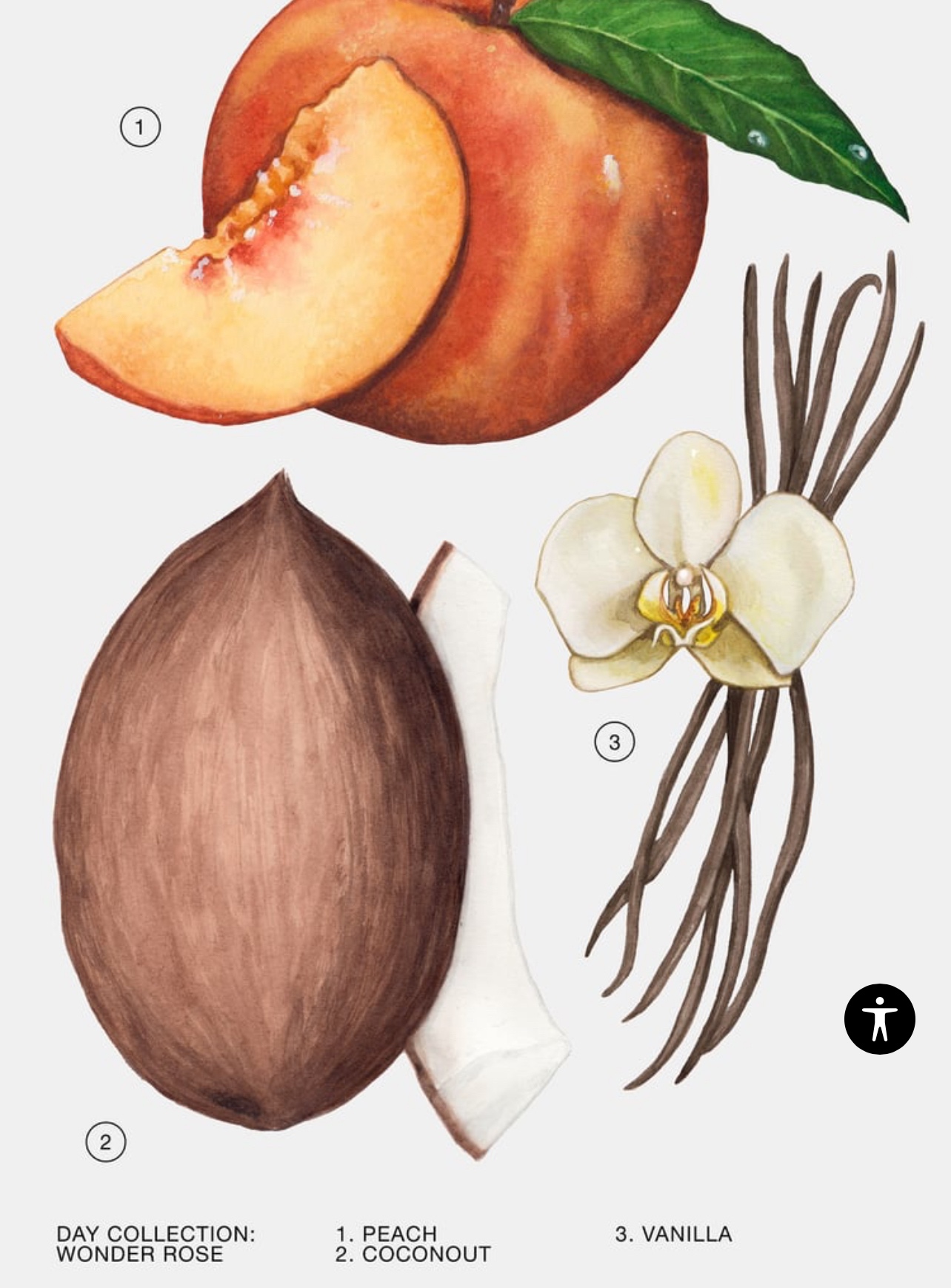 Zara - Femme Weekend 04 Perfume image indicator(2)