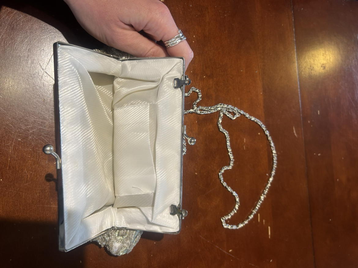 #Freecycle Beaded Vintage purse with Silver Chain image indicator(3)