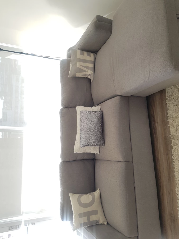 Sectional Sofa bed