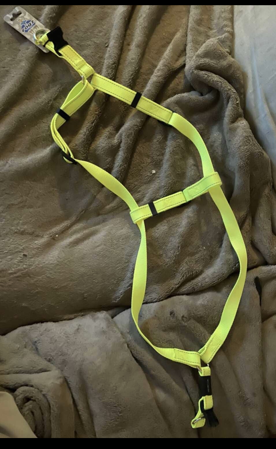 Ex-lg fluorescent dog harness image indicator(2)