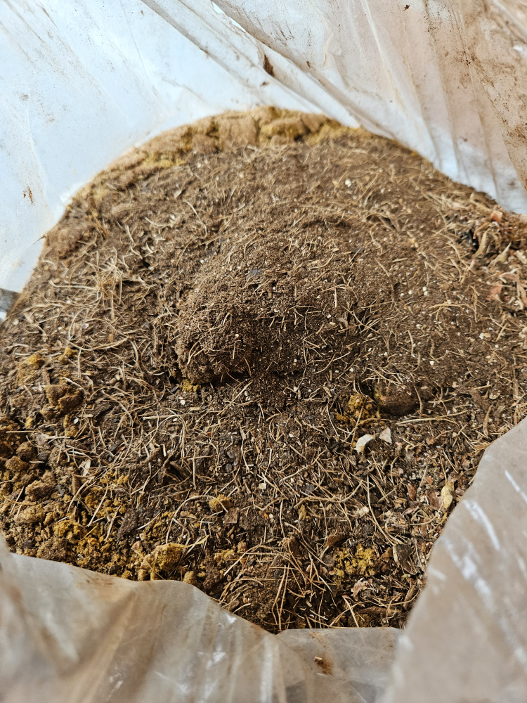 Large Bag of No-Smell Compost thumbnail