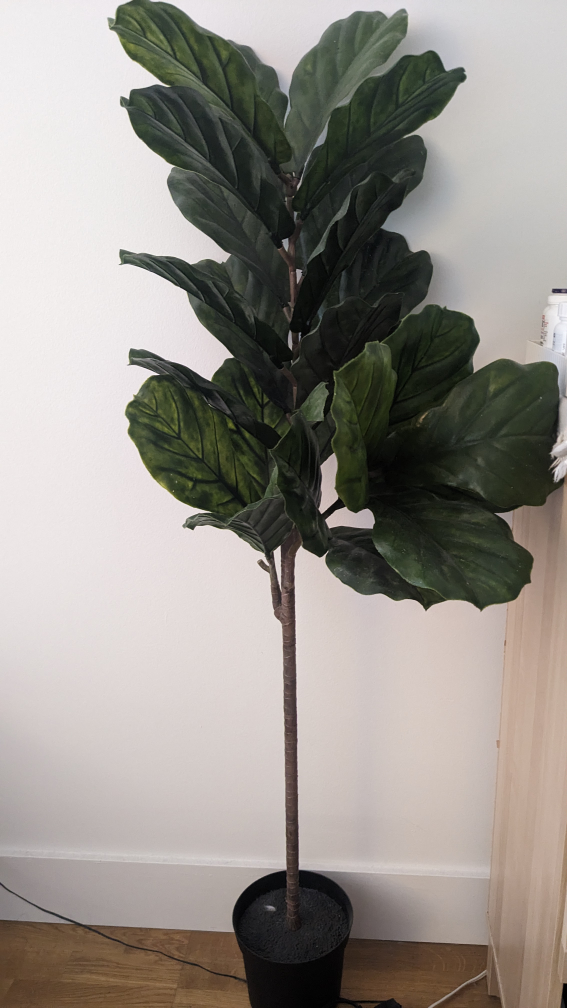 fake artificial fiddle leaf tree