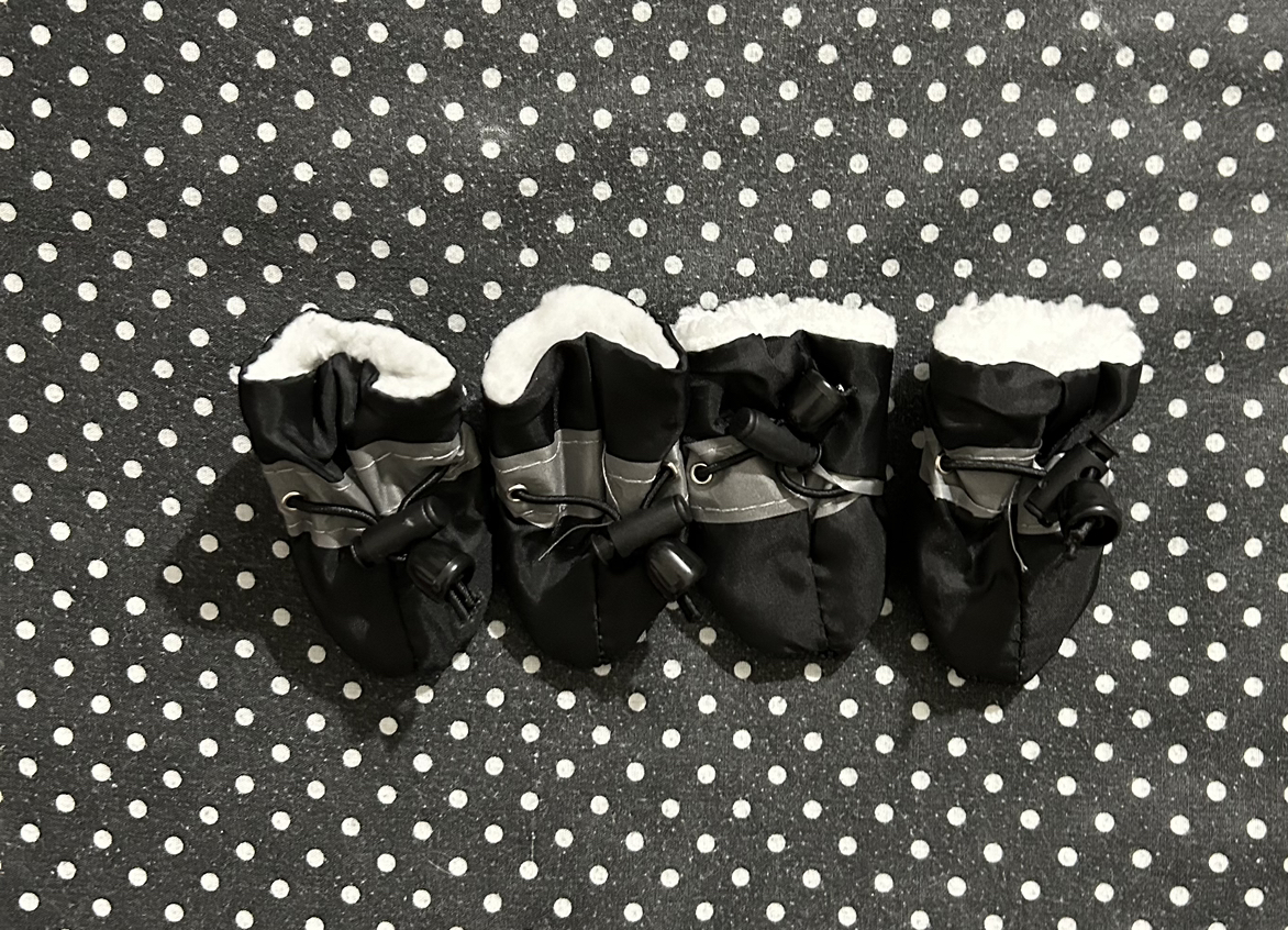 New shoes for small dog image indicator(4)