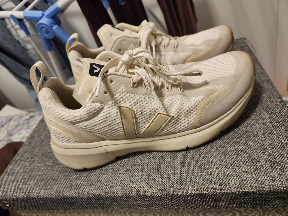 Veja Running Shoes (women US 7.5)