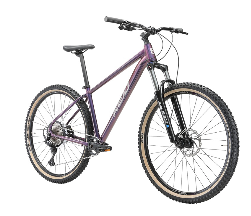 REID TRACT 4 MOUNTAIN BIKE 29" LG.