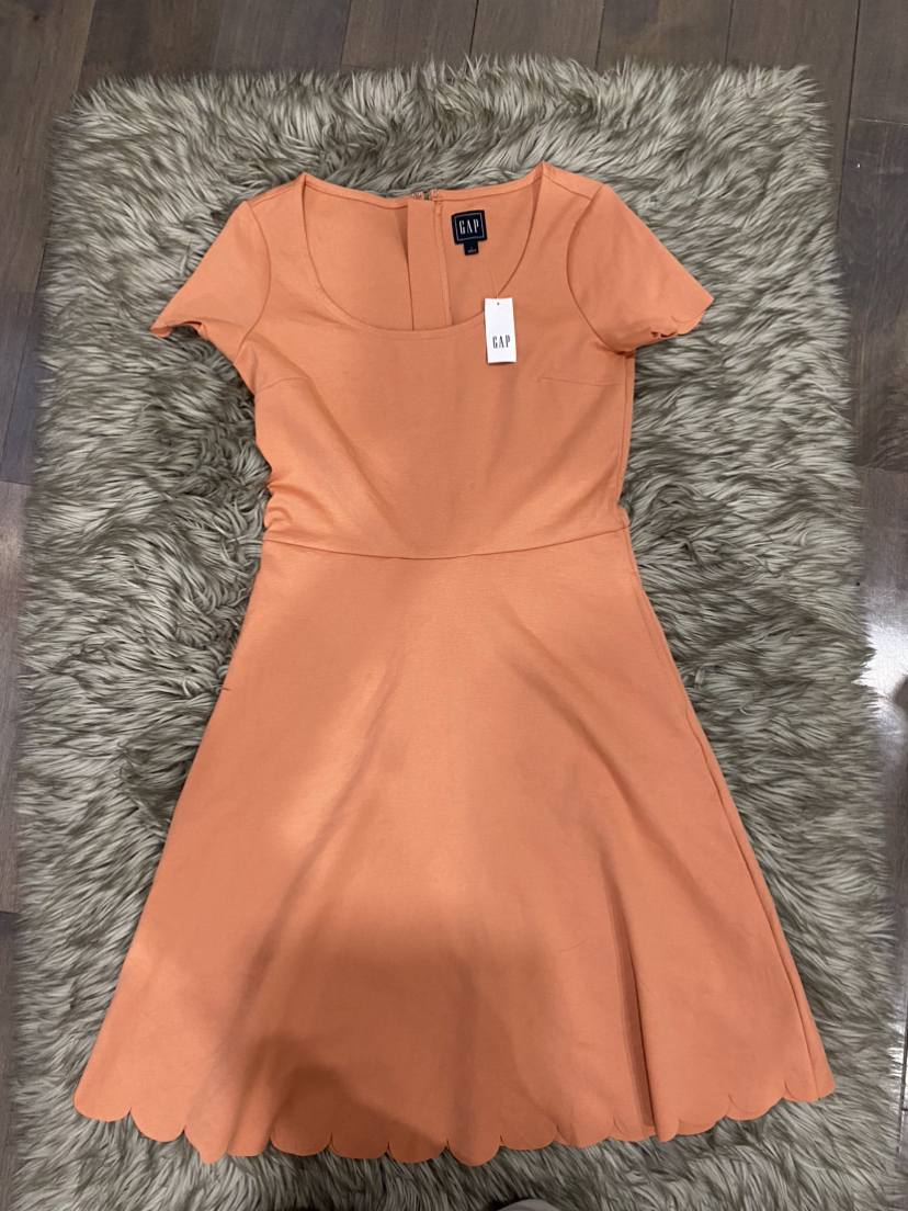 Gap. Fit and flare scallop dress. NWT. image indicator(4)