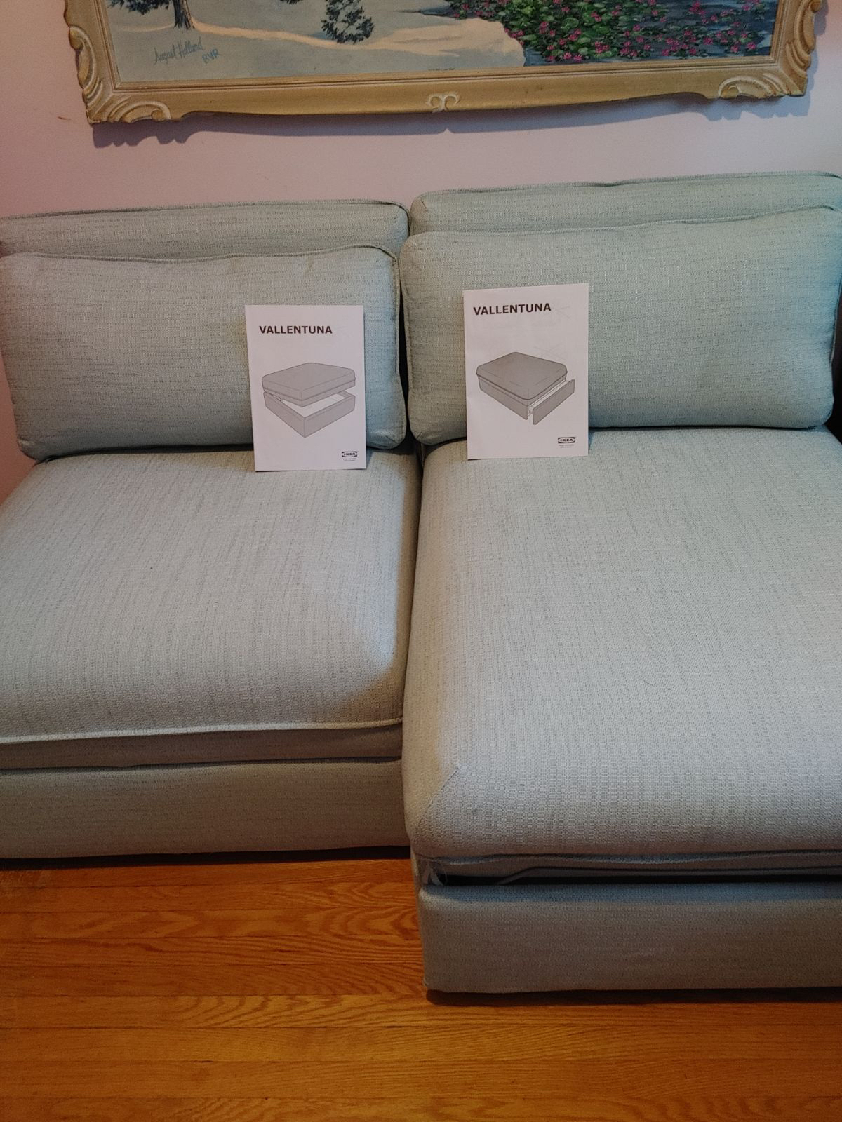 Valentuna sleeper and storage ottoman