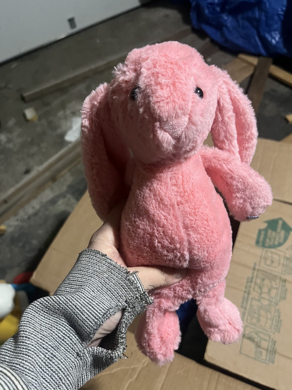 Varies stuffie 2 are brand new