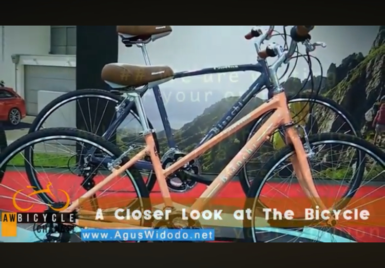 Bianchi Shimano Bicycle image indicator(2)