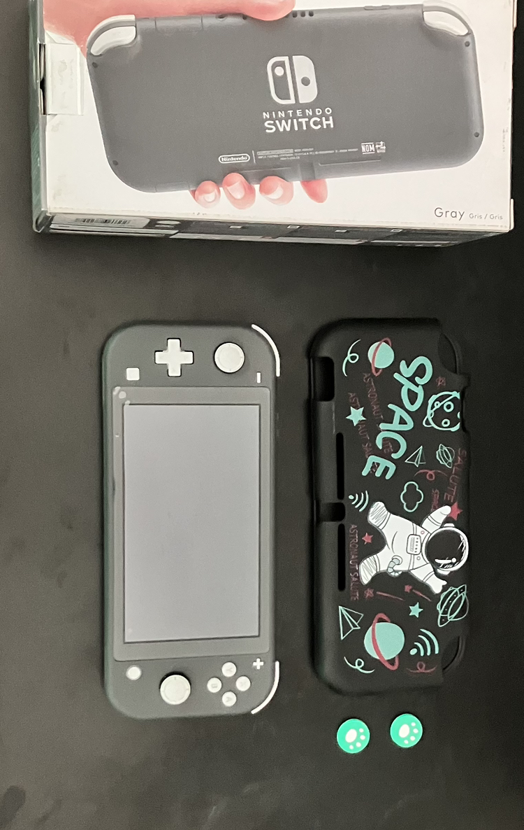 Nintendo switch lite + case + custom grips