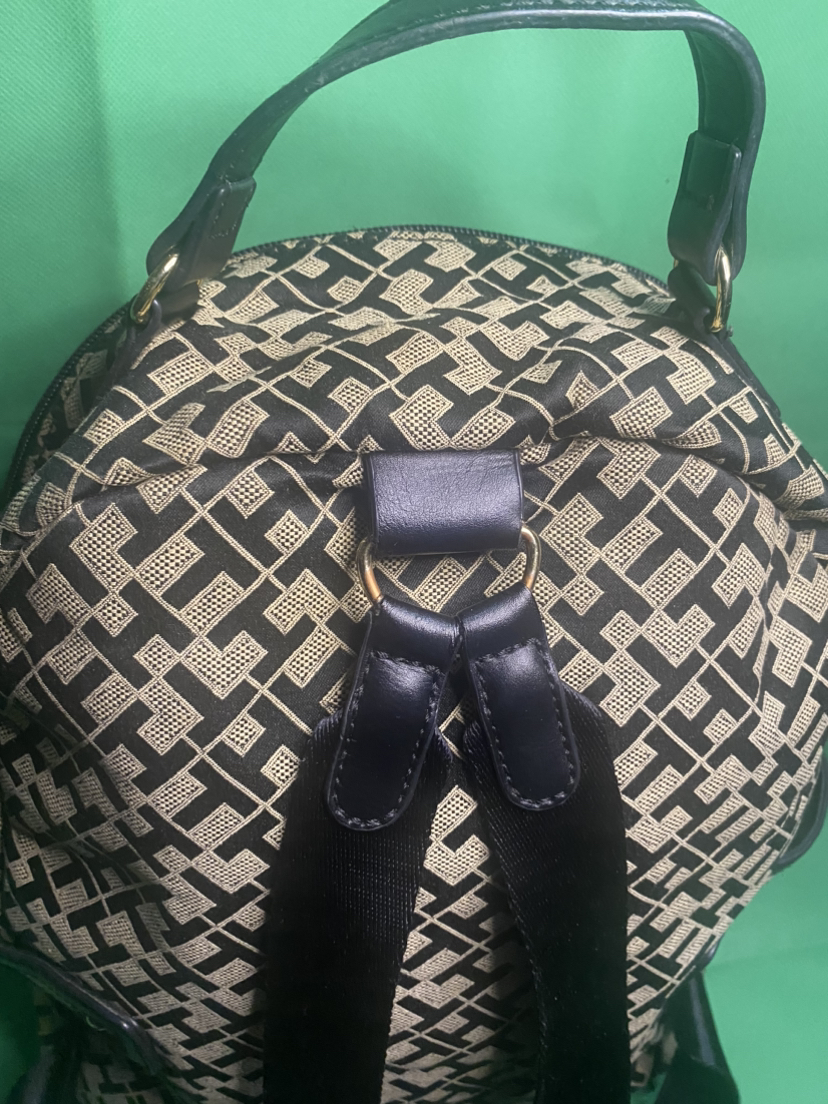 TH monogram backpack image indicator(5)