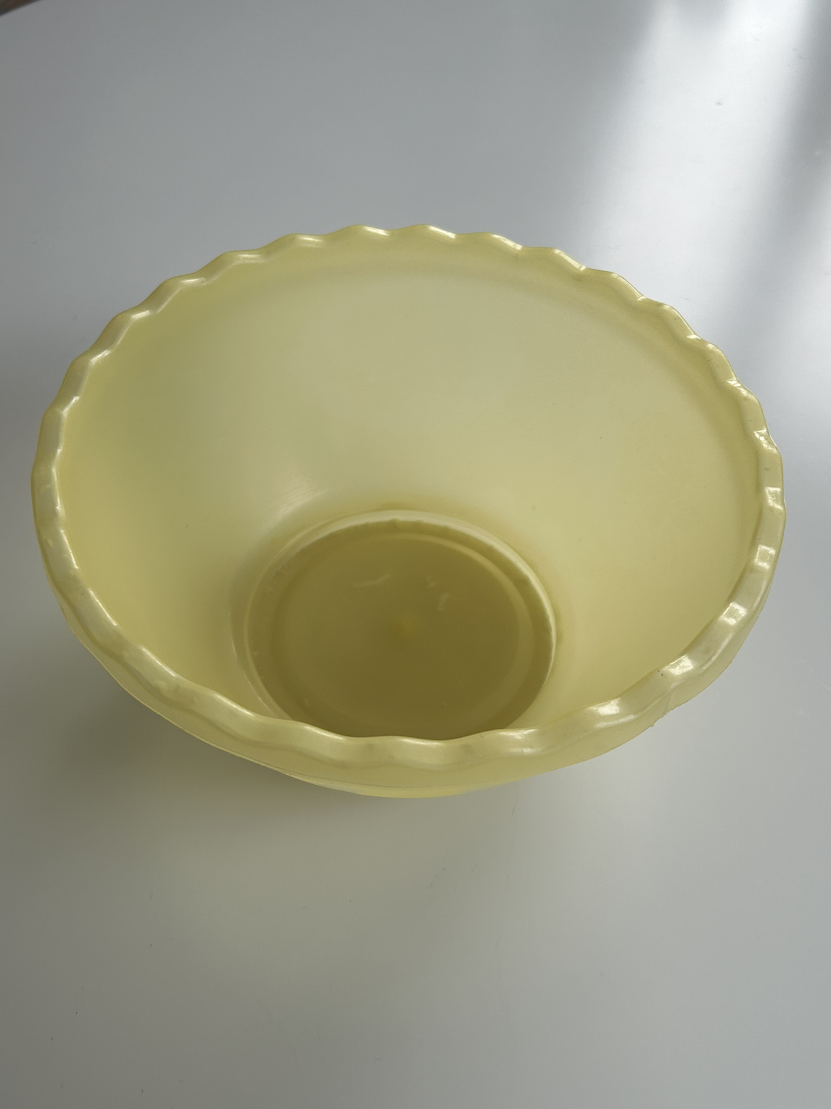 Plastic Bowl 🥕 - photo 2