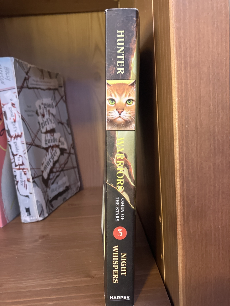 Warrior cats series - book 3 - omen of the stars - photo 3