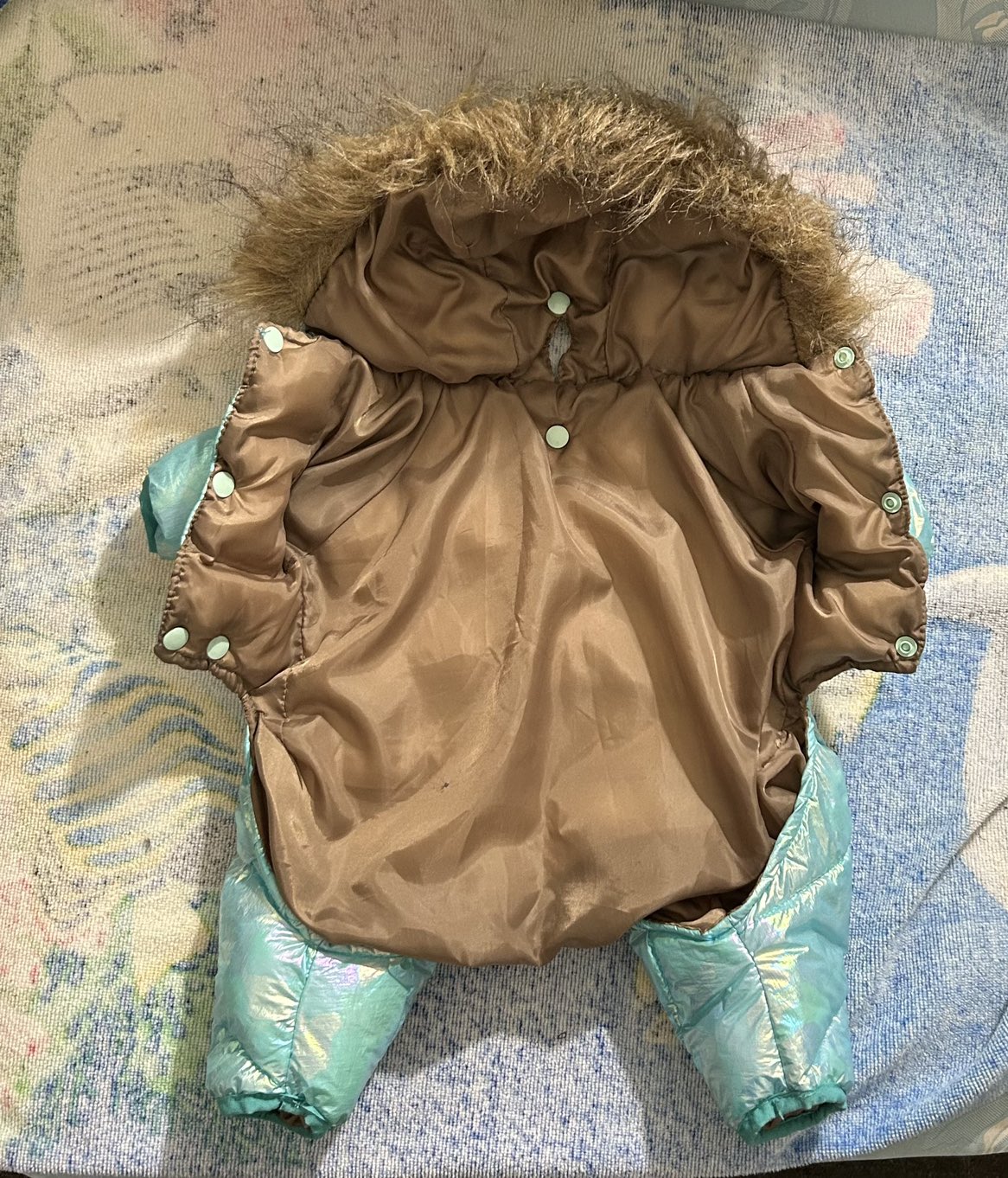 New winter coat for medium sized dog image indicator(3)