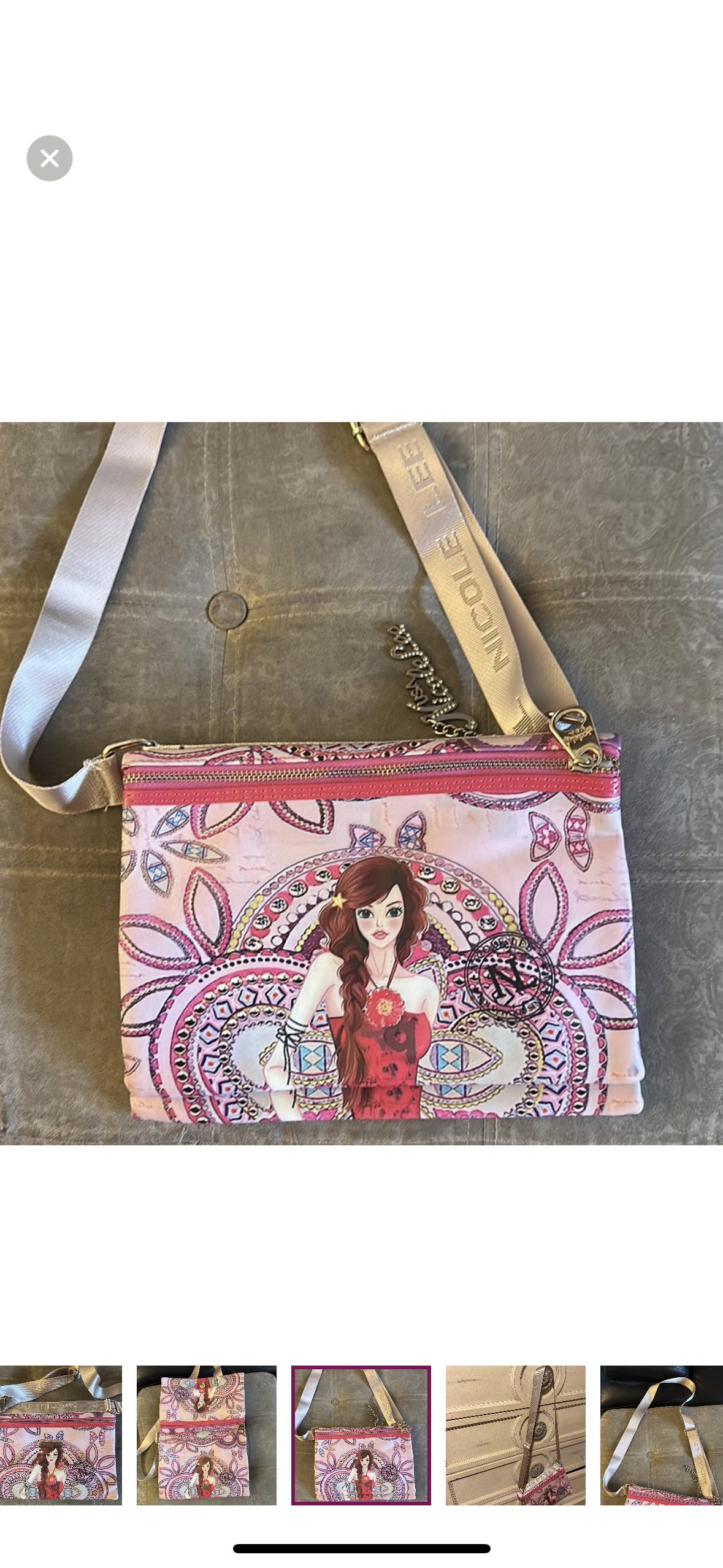 Nicole Lee Purse image indicator(4)
