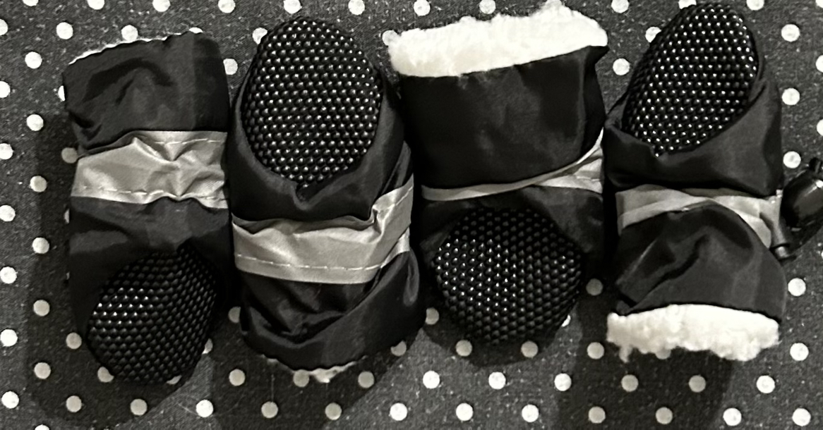 New shoes for small dog image indicator(6)