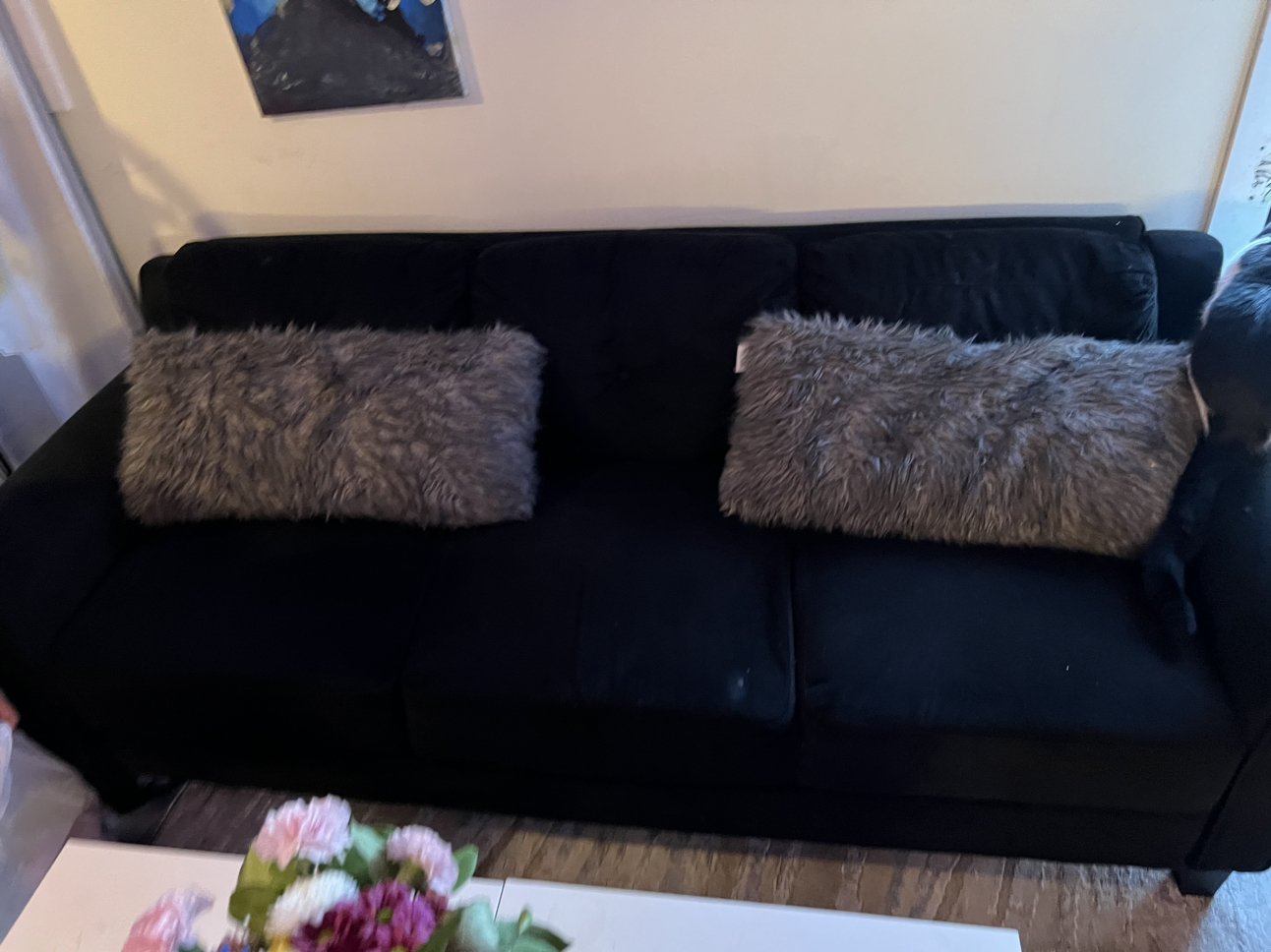 Couch or sofa