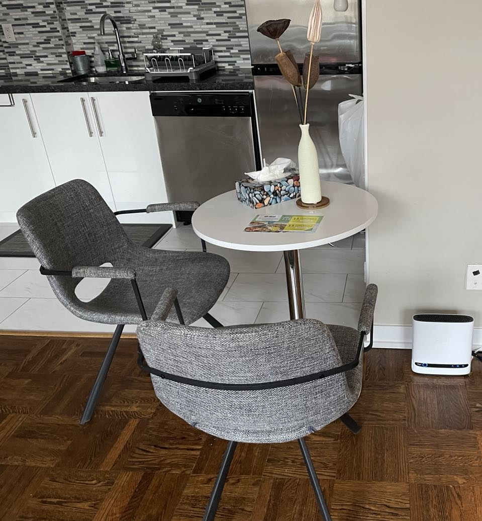 2 dinning chairs