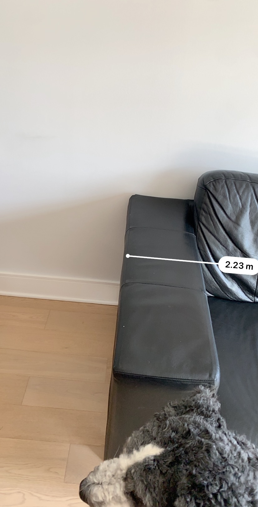 Black leather sofa EQ3 image indicator(4)