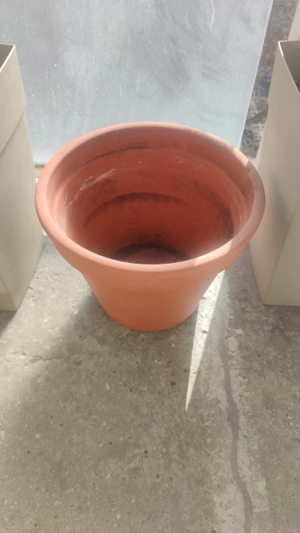 Terracotta flowerpot