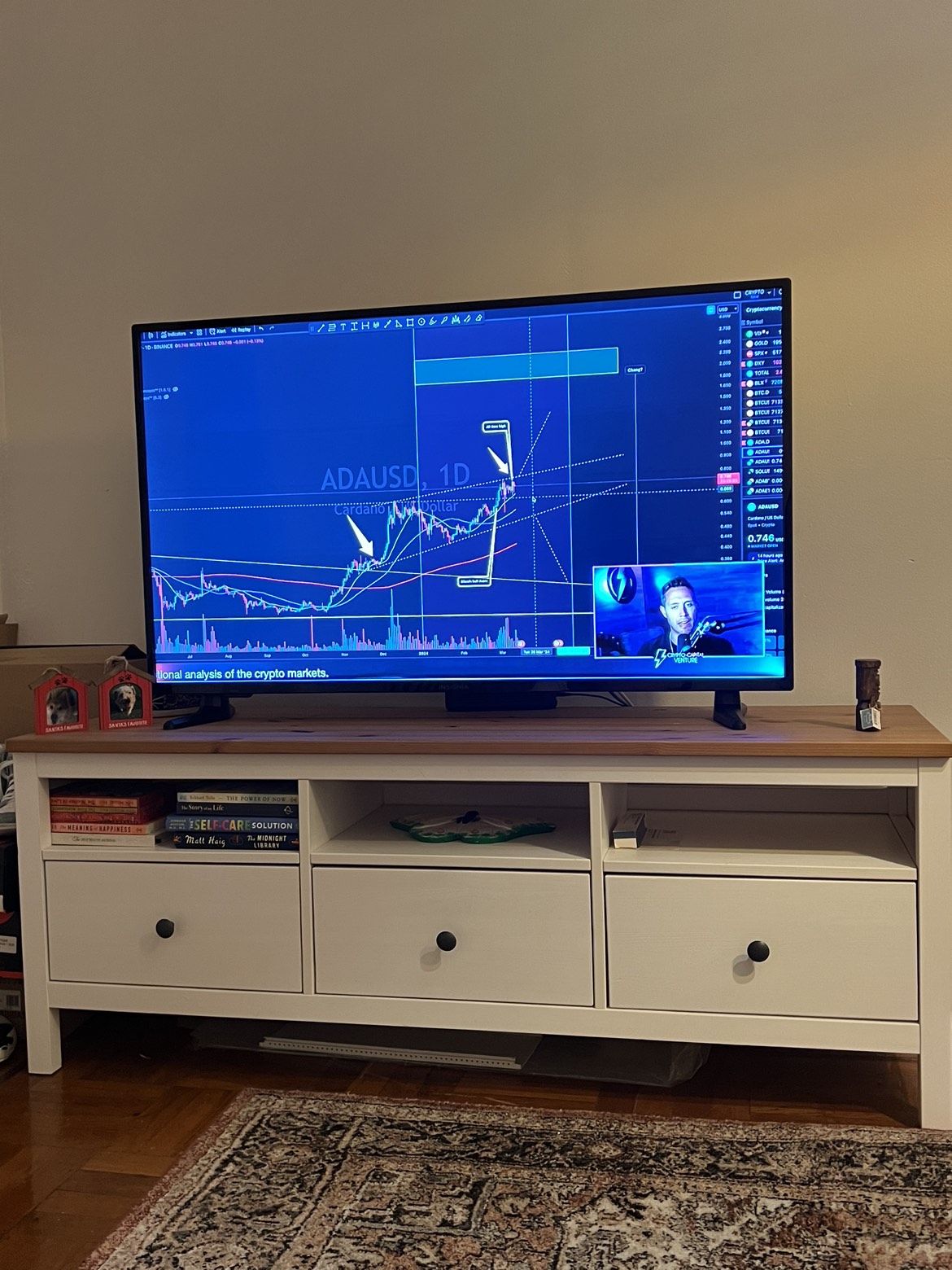 IKEA TV Console