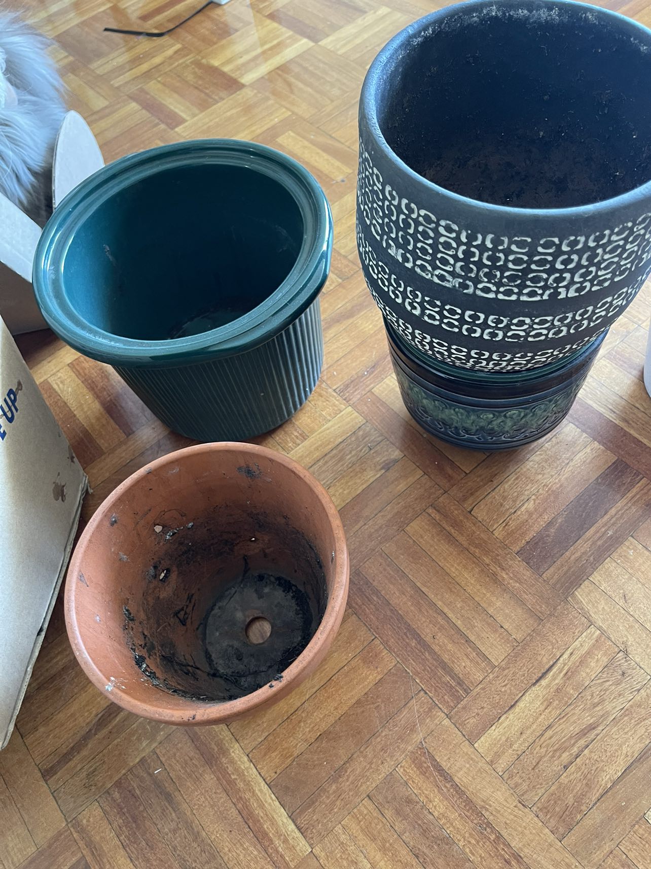 Free pots