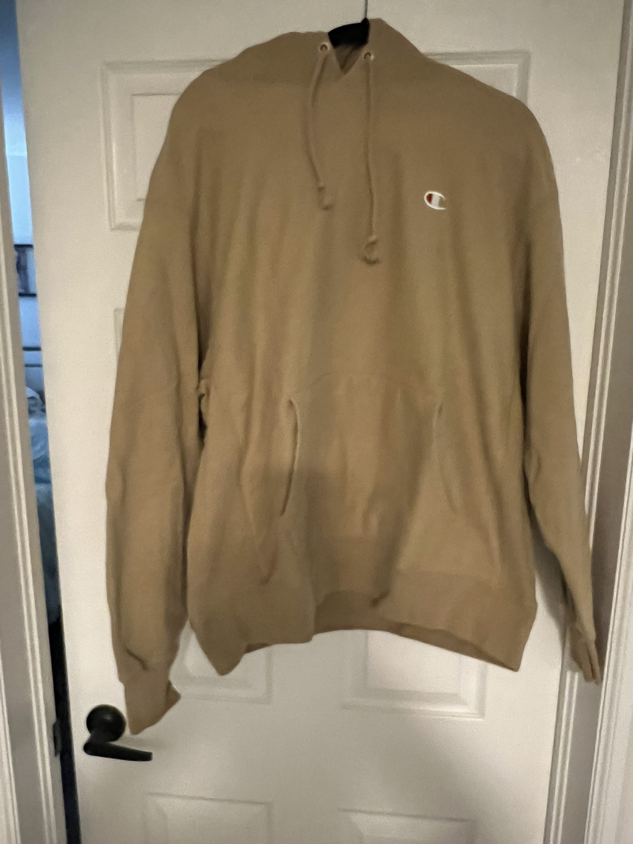 Champion Hoodies - photo 2