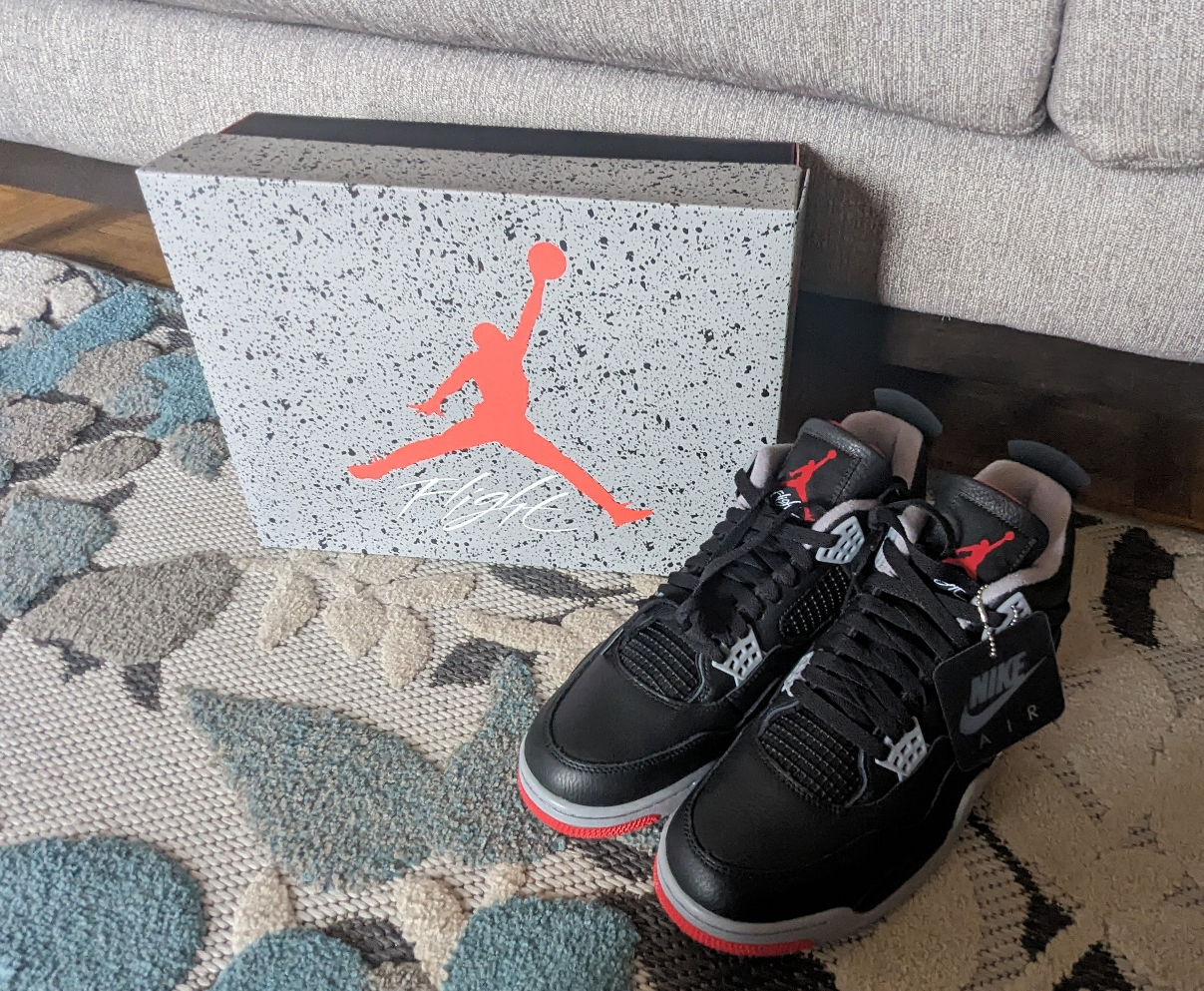 Jordan 4 Bred Reimagined (Size 11 US)