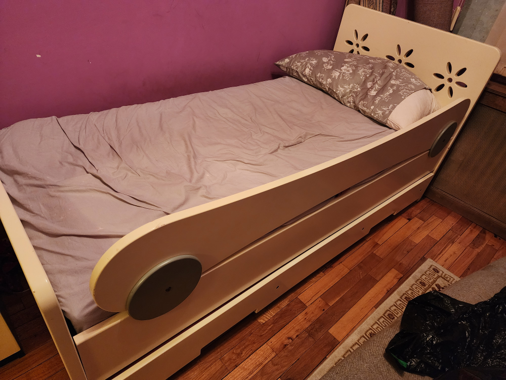 Aminach Twin Trundle Bed with storage space 