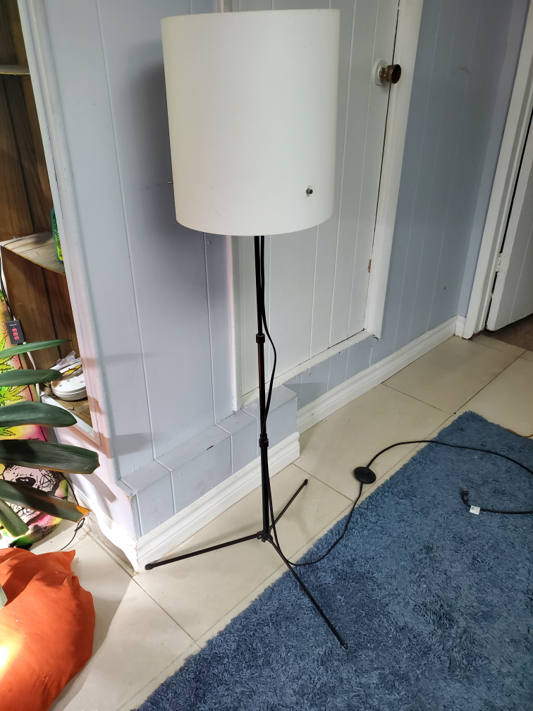 Floor Lamp thumbnail