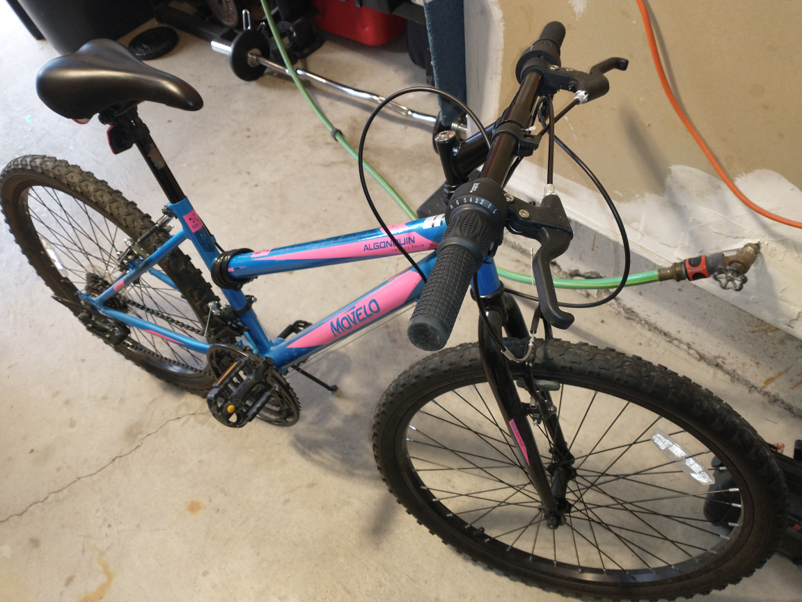 Movelo Algonquin 24" Girls’ Steel Mountain Bike - photo 2