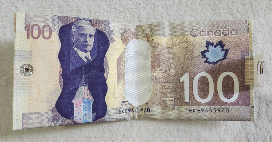 Dollar Wallet 🥕 image indicator(4)