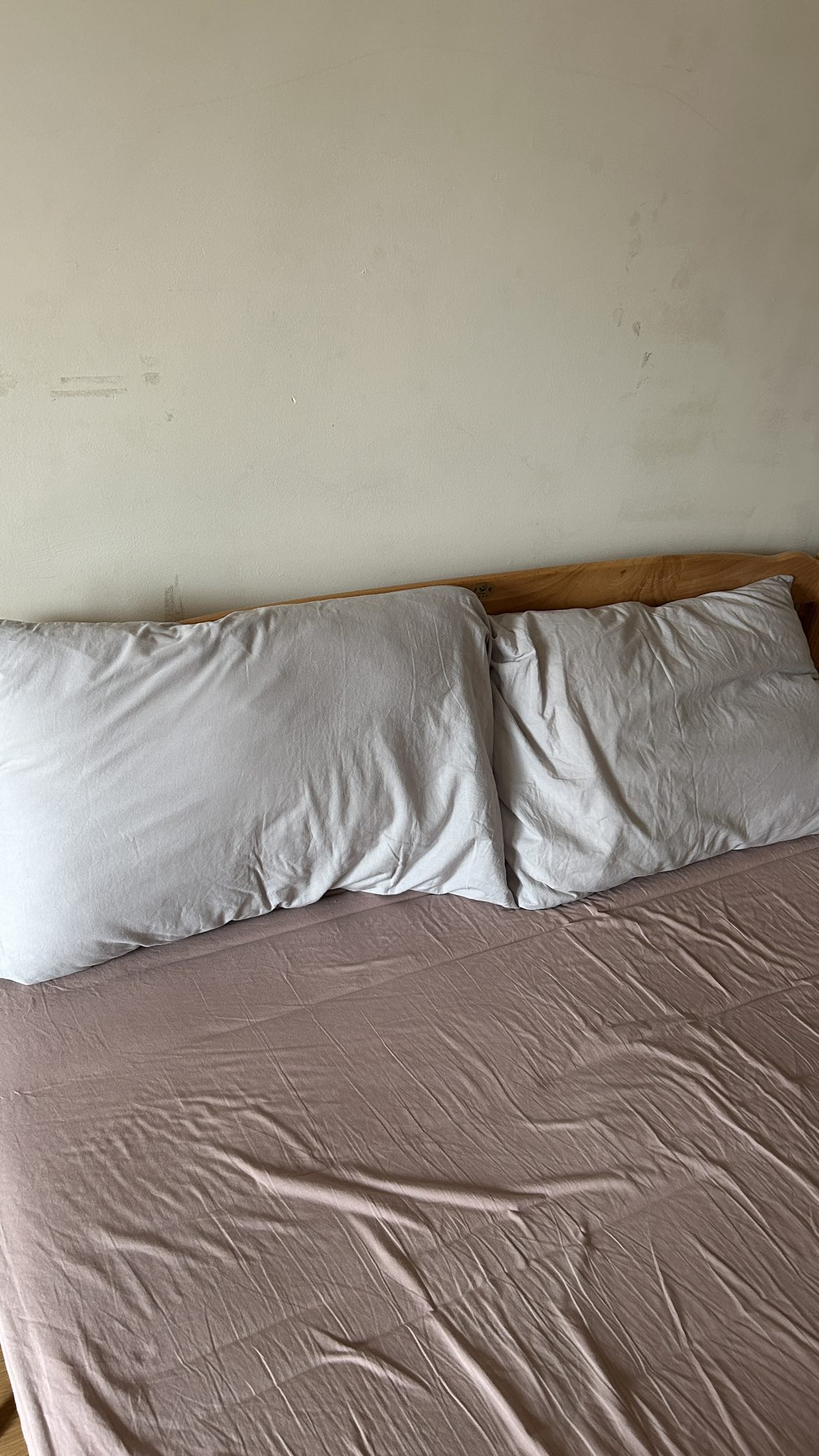 Moving out sale: queen mattress + pillows - photo 5