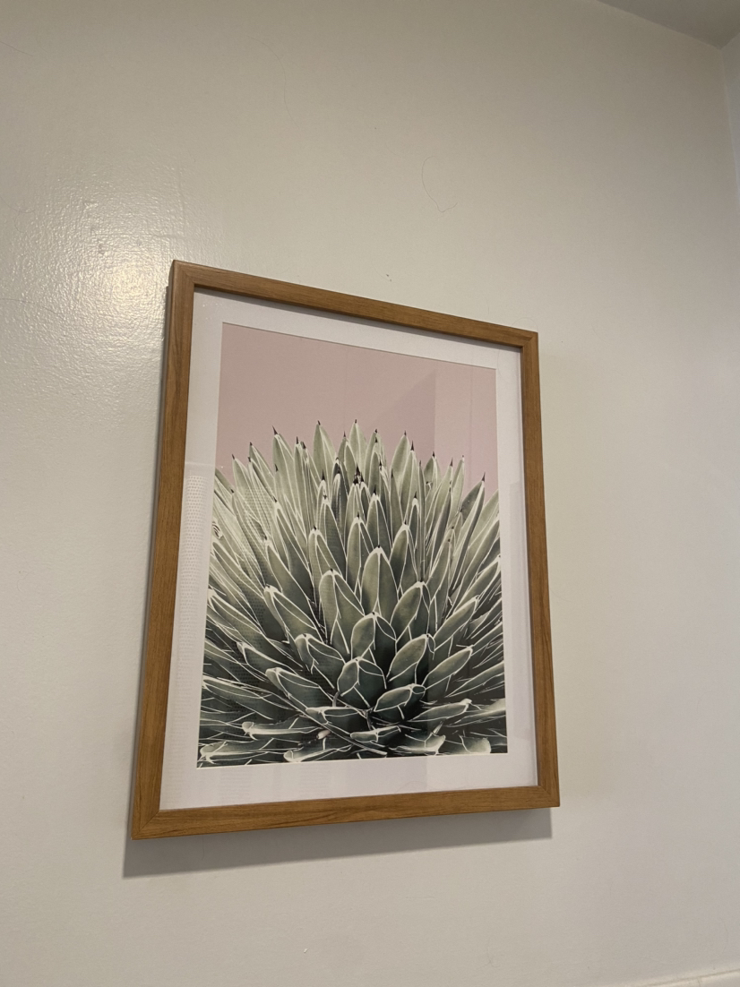 Succulent Wall Art - photo 3