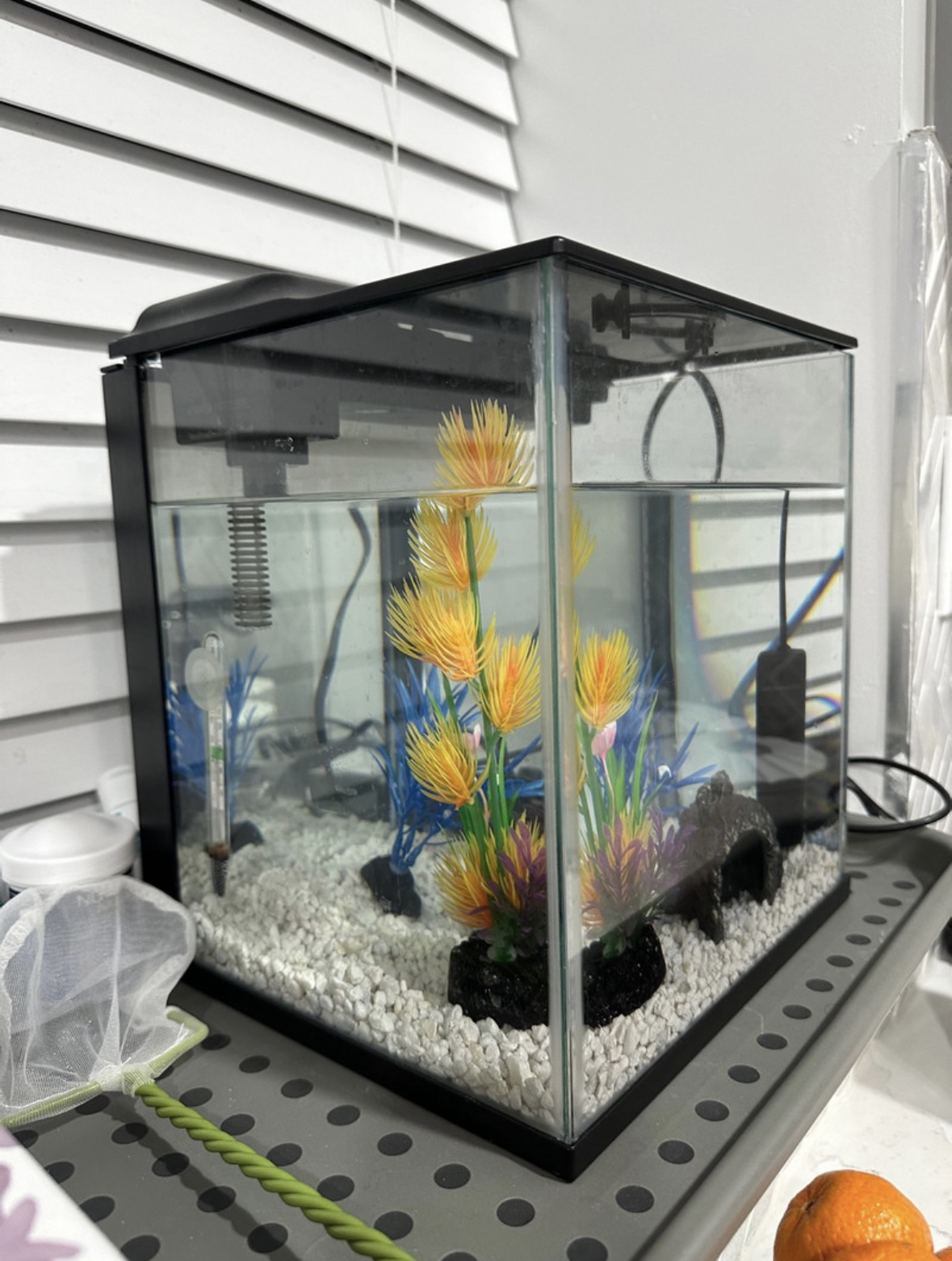 Fish Tank/Aquarium - photo 2