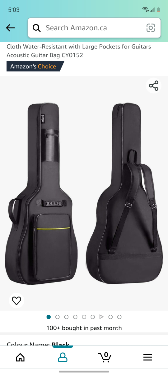 Guitar bag (new !) thumbnail