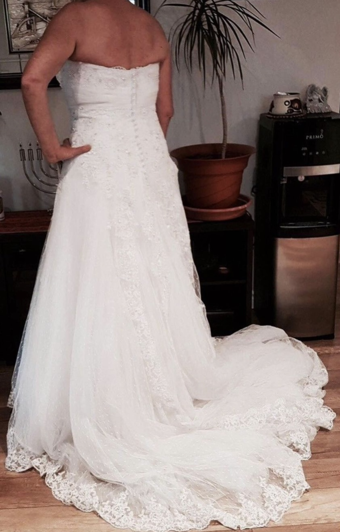 Gorgeous Cara Mía strapless Lace Wedding Dress size M image indicator(2)