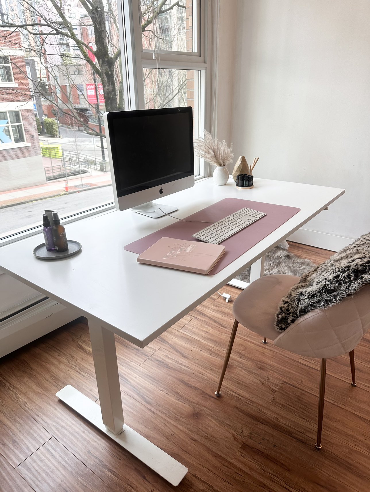 IKEA Sit Stand Desk