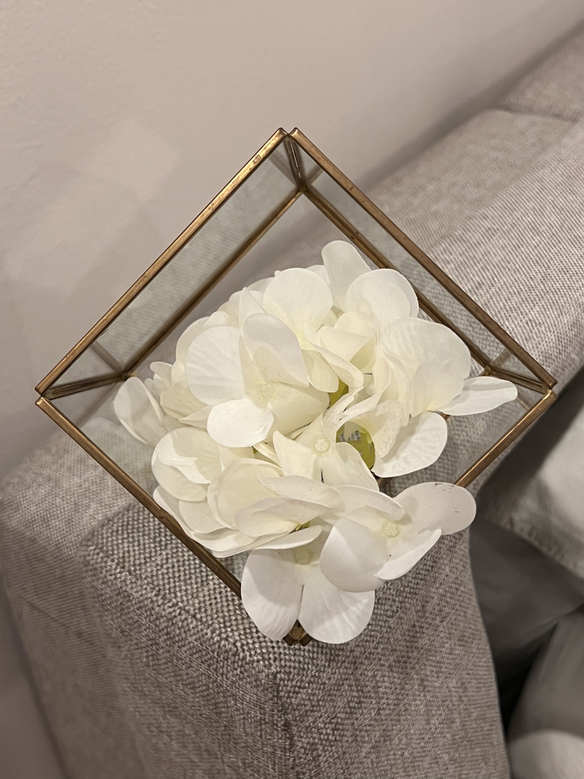 Glass Square Terrarium for Air Plant, Flower, Cactus, and More - photo 3