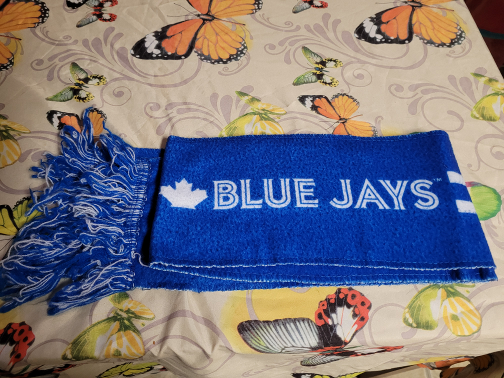 🥕free cycle 🥕 Blue Jay scarf