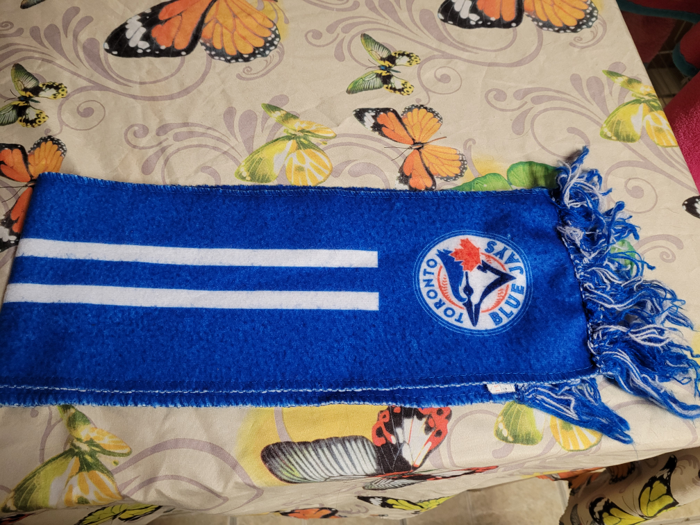 🥕free cycle 🥕 Blue Jay scarf image indicator(2)