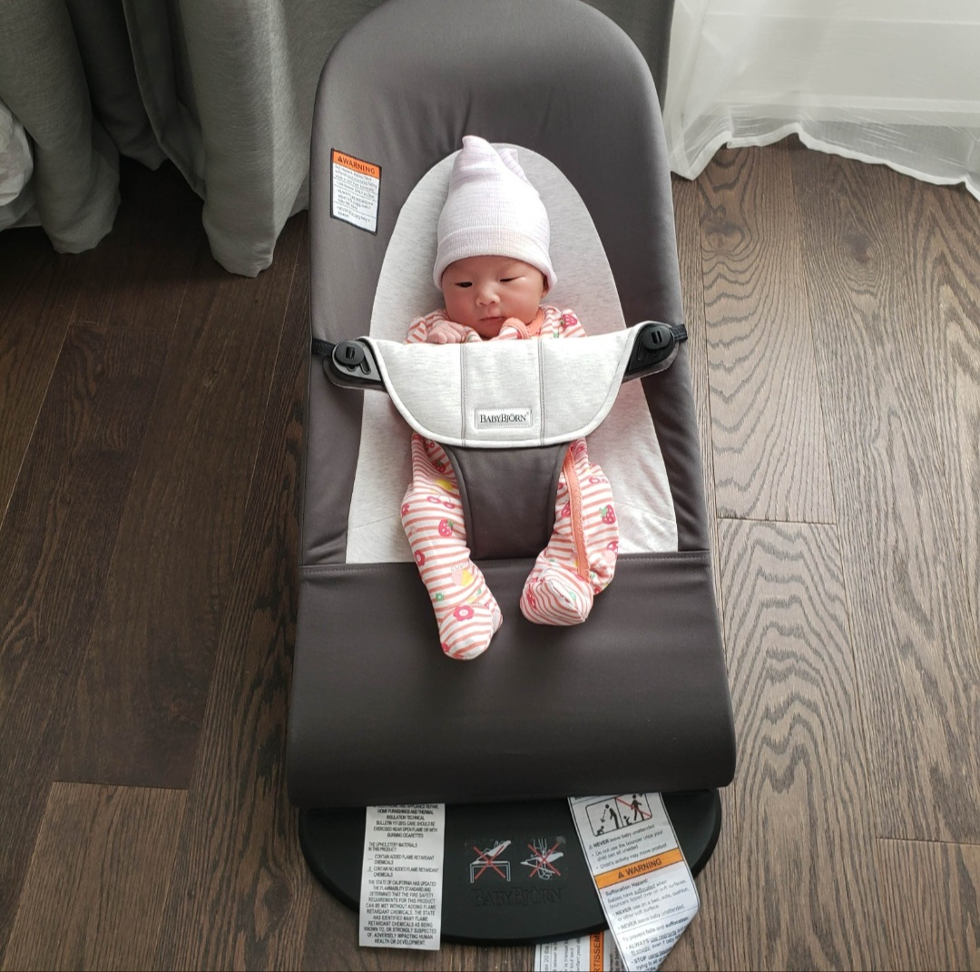 Babybjorn Bouncer