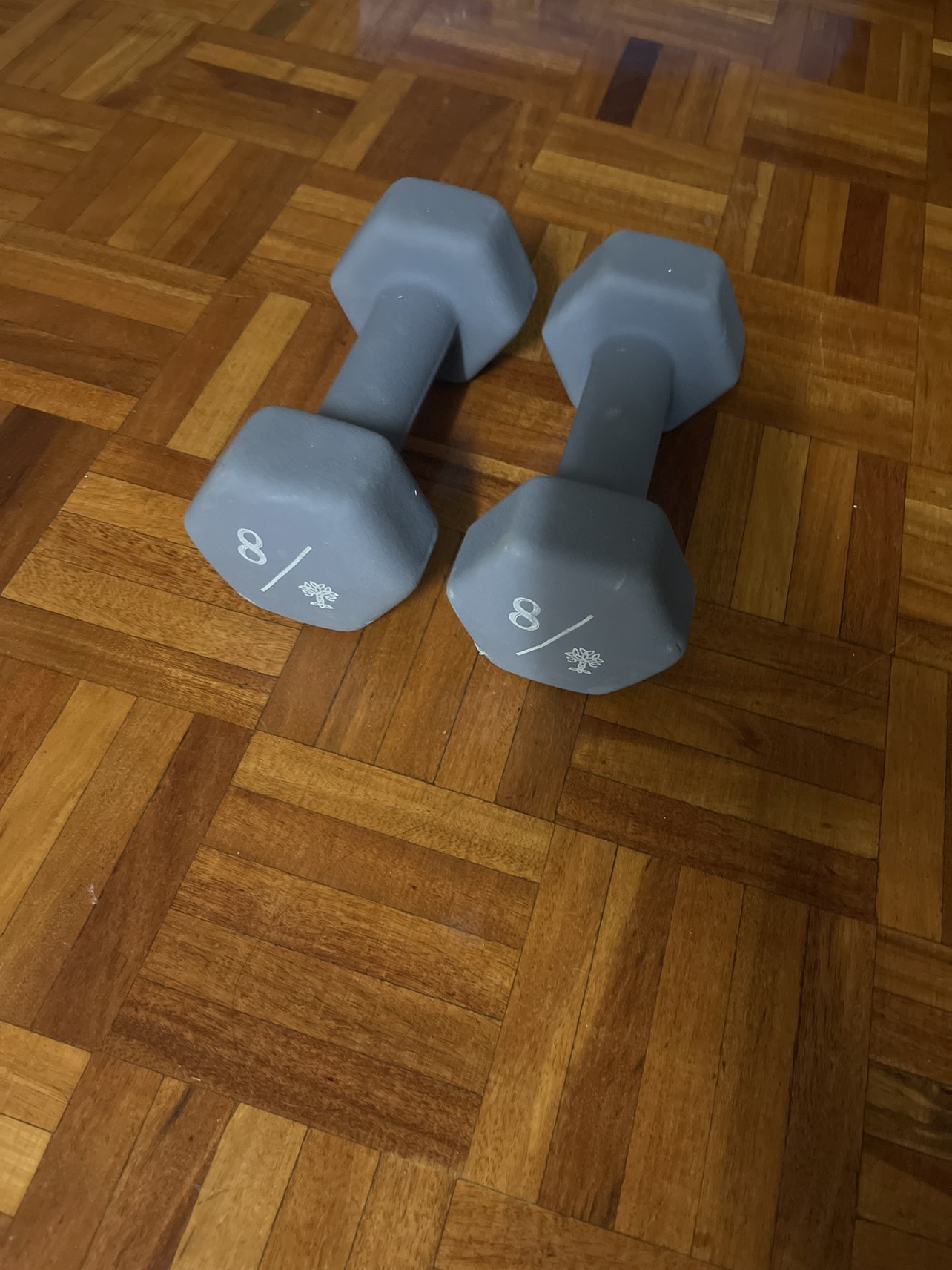 8 pound weight