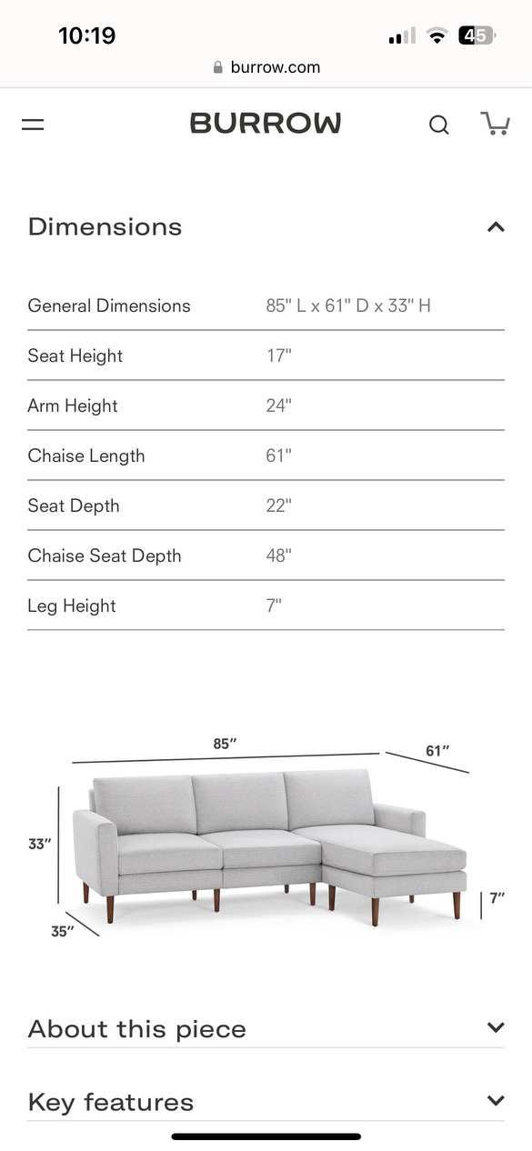 Borrow Couch - photo 5