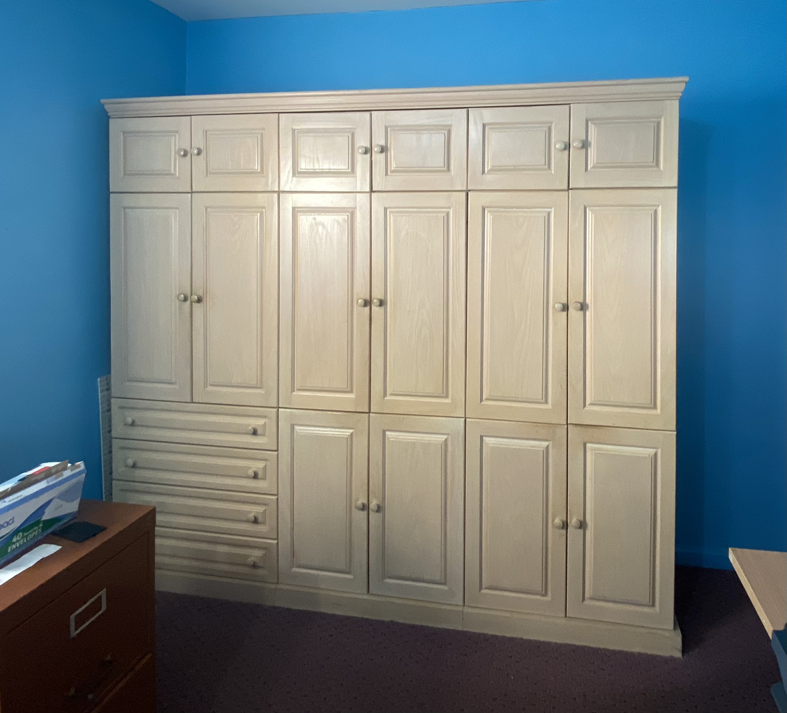 Cabinet MOVE SALE