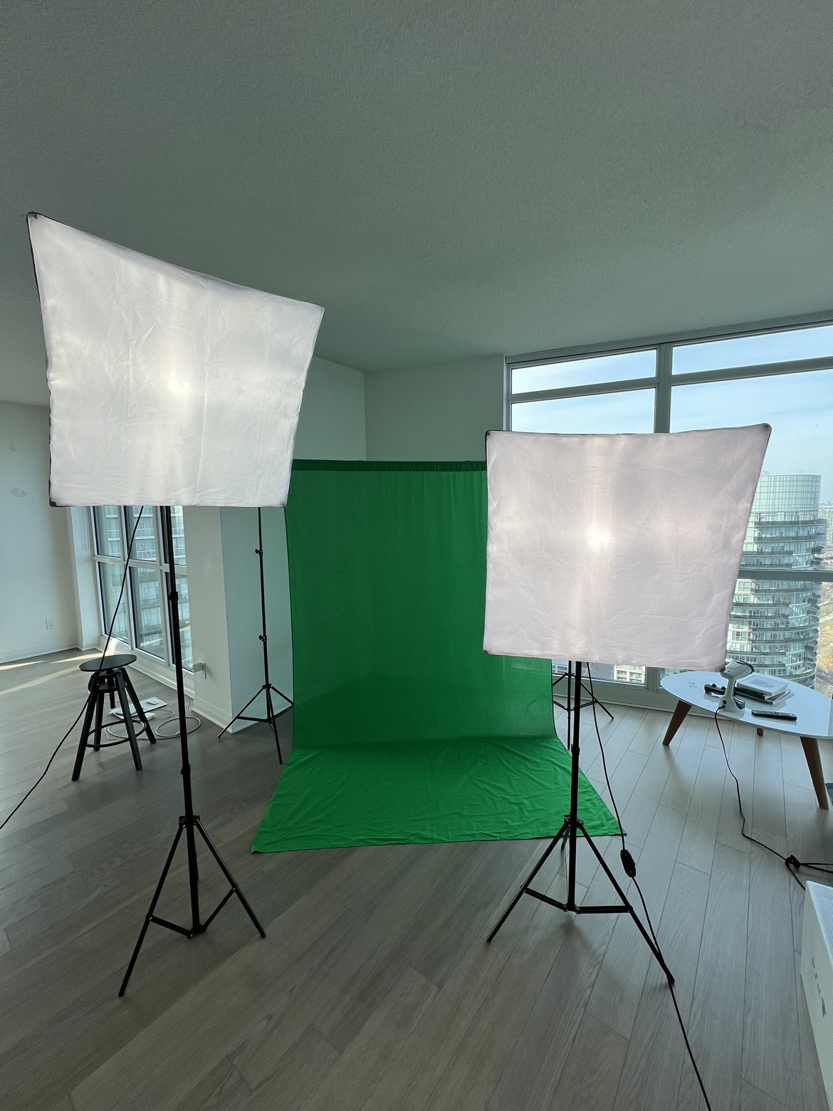 Green screen with 2 softbox lights - photo 2