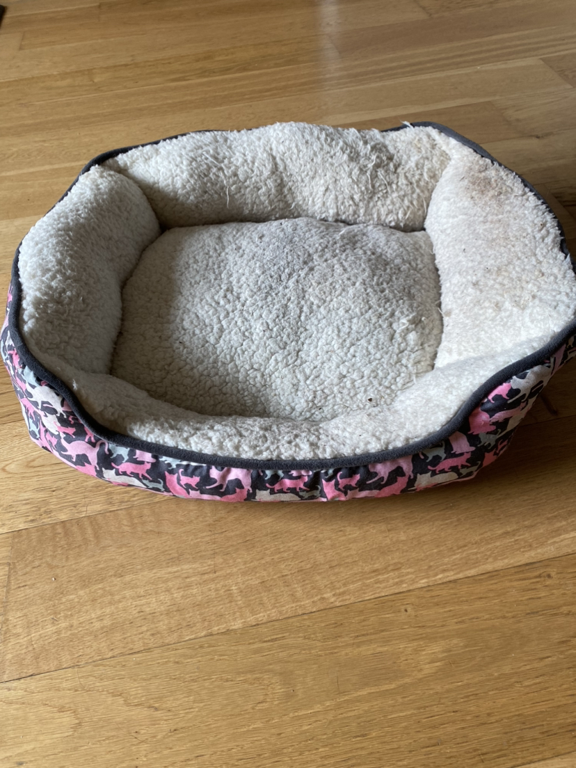 #freecycle Cat bed